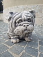 Cane Bulldog inglese - immagine 2