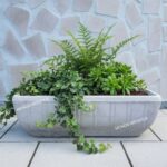 2 x Vaschetta Rettangolare - 54x23 cm - immagine 3