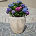 Vaso rotondo - Altezza 32,5 Cm Diametro 35 cm