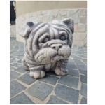 Cane Bulldog inglese