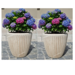 2 x vaso rotondo - Altezza 32,5 Cm Diametro 35 cm