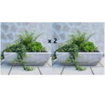 2 x Vaschetta Rettangolare - 54x23 cm