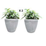 2 x vaso rotondo - Altezza 32,5 Cm Diametro 35 cm